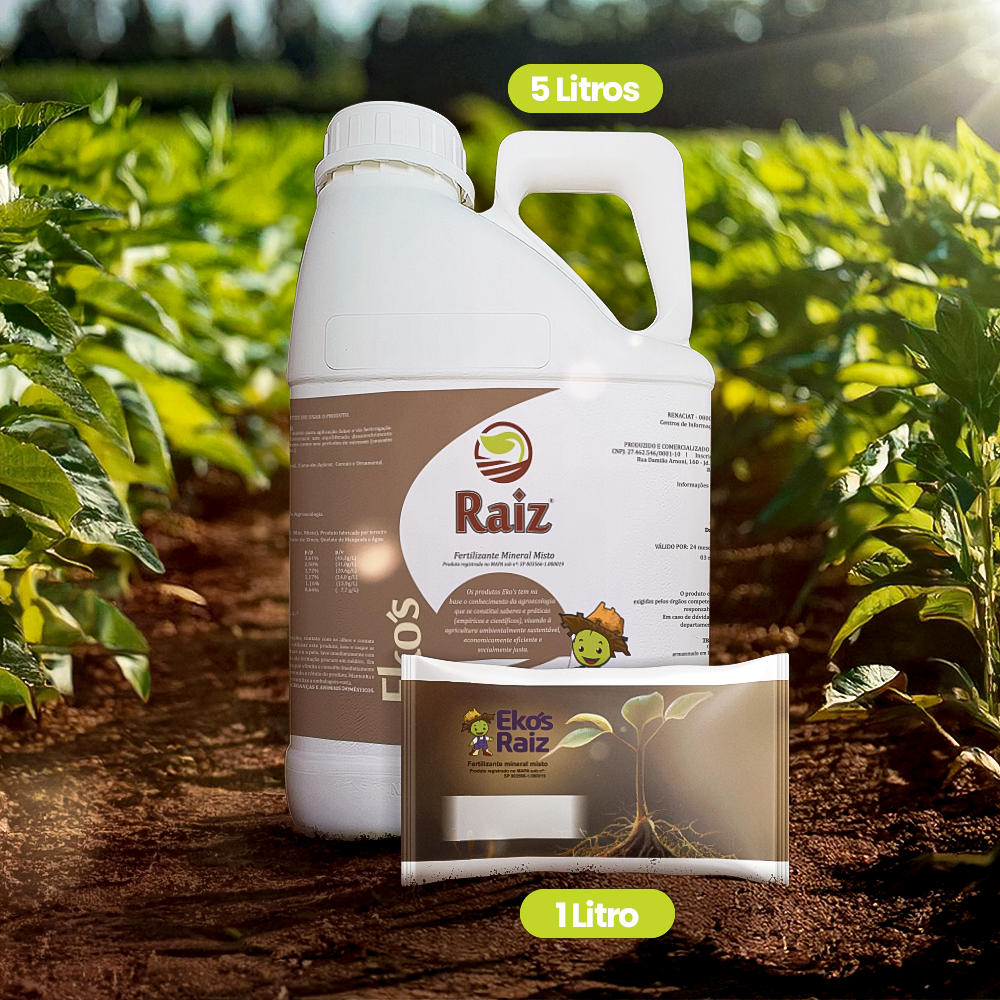 Ekos Raiz